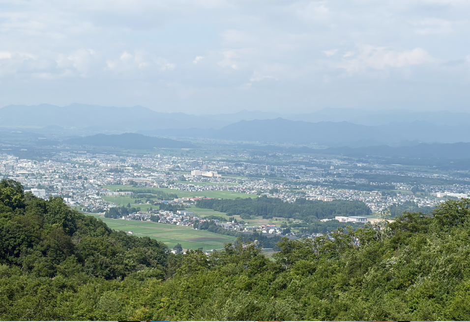 モニターを見ながら業務を行うスタッフ
