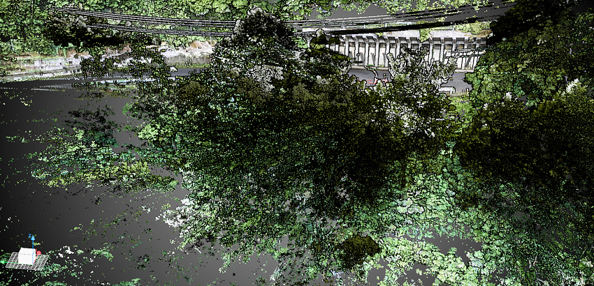 地上 レーザー 植生有
