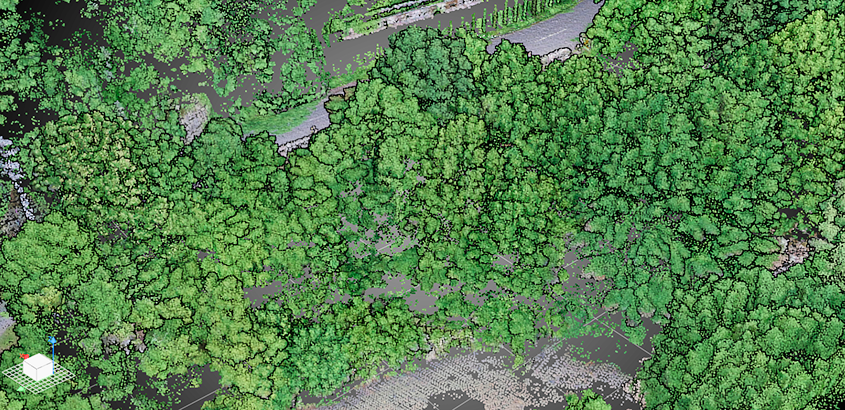 UAV 植生有